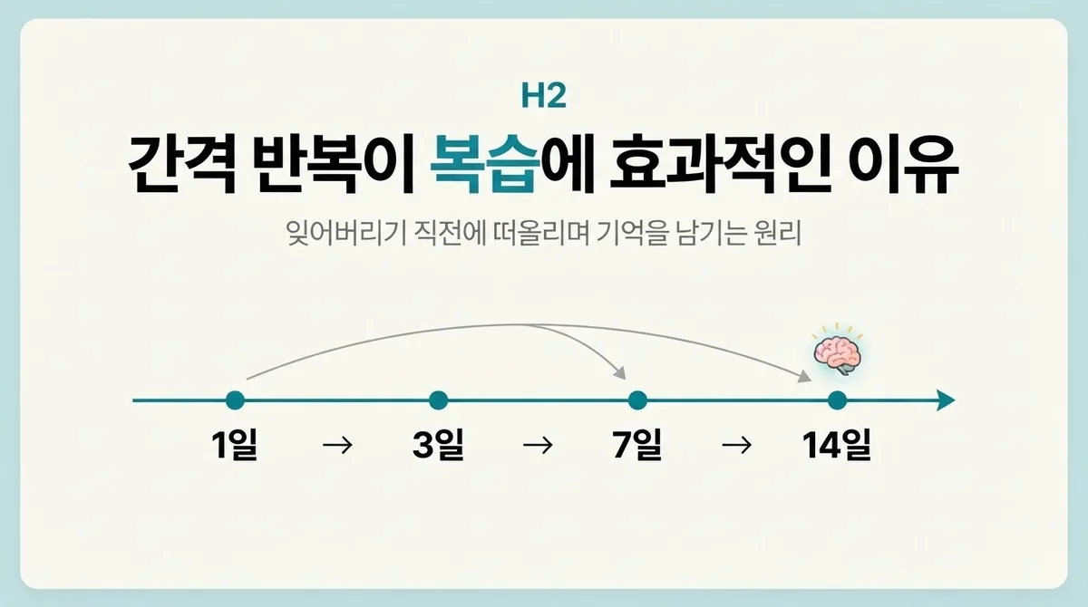 영어회화 복습, 요즘 뜨는 AI 복습과 간격 반복 활용 혜택