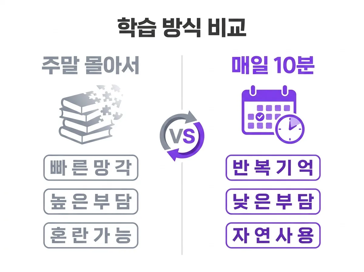 영어회화 실력 향상의 첫걸음, 하루 10분이 만드는 꾸준한 성장