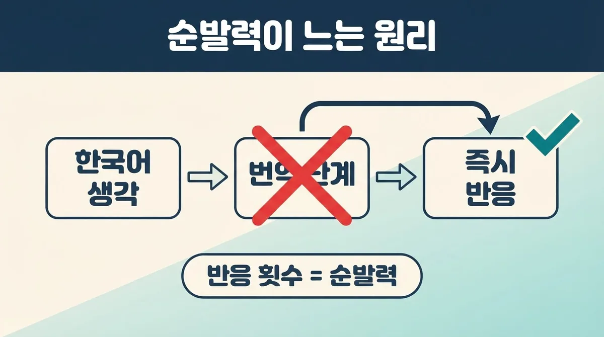 성인 영어회화, 요즘 뜨는 1:1 화상영어로 순발력 키우기
